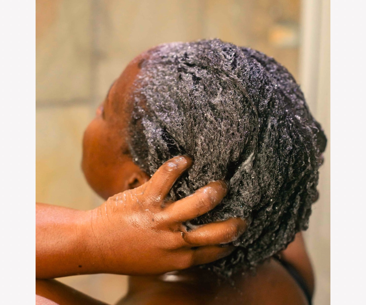 African Black Soap Cleansing Shampoo