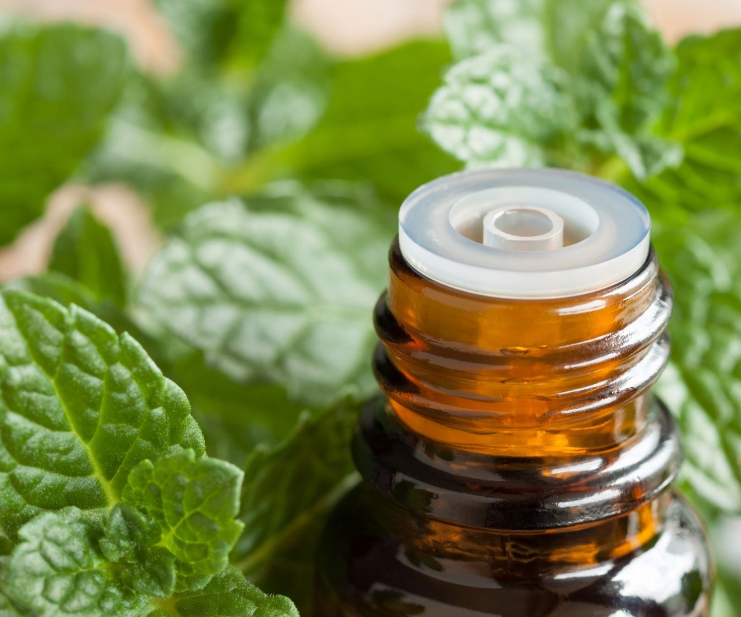 Ayurvedic Scalp Tonic